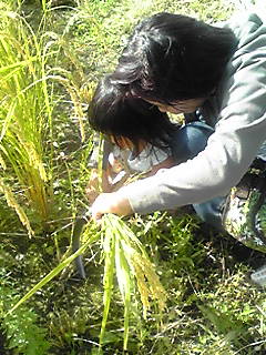 090920_1351~01.JPG
